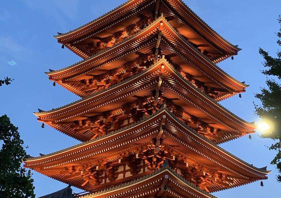 Meditation and Dharma Talk with Jokai Blackwell—IN-PERSON & ONLINE