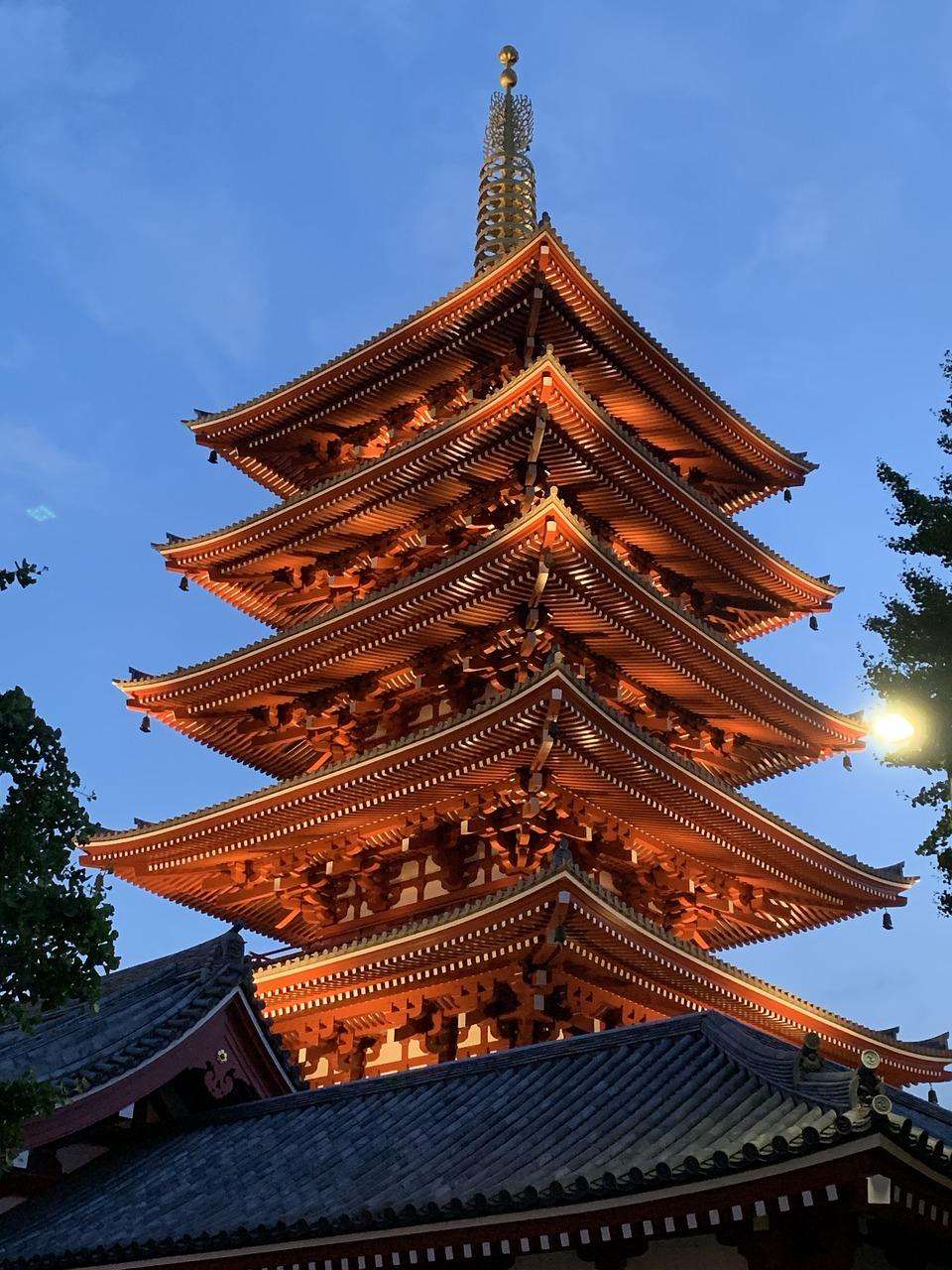 Meditation and Dharma Talk with Jokai Blackwell—IN-PERSON & ONLINE